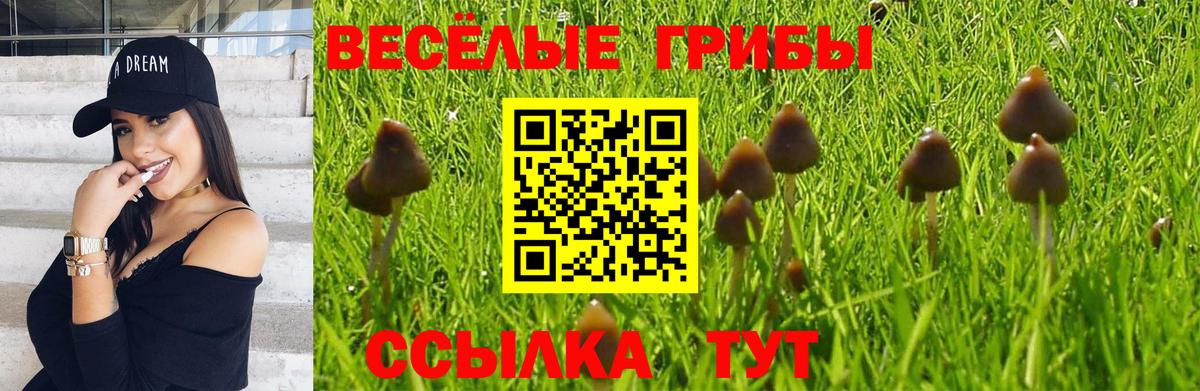 Псилоцибиновые грибы мицелий Вязники